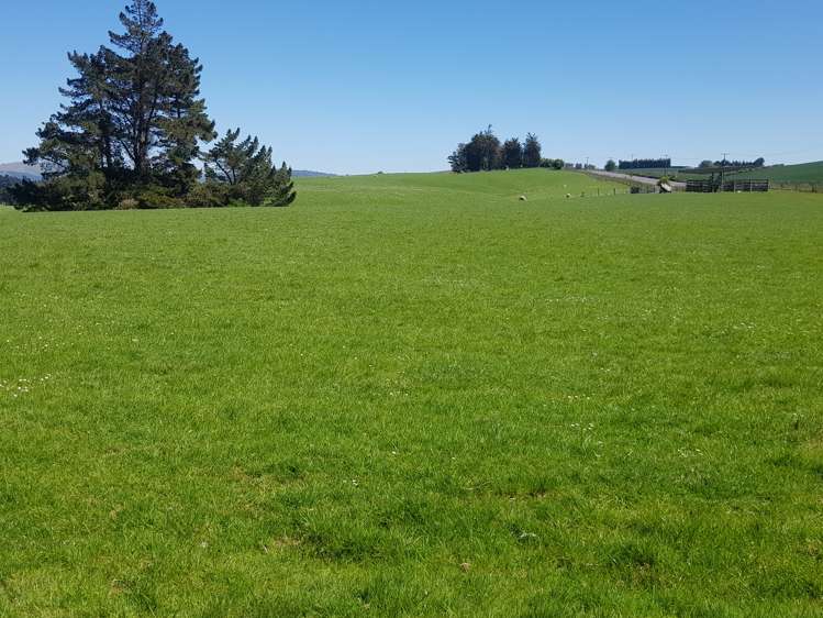 1917 Clinton Highway Clinton and Surrounds_10