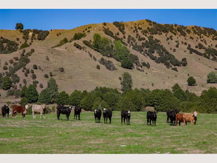 608 Upper Retaruke Road Ruapehu-King Country Surrounds_10