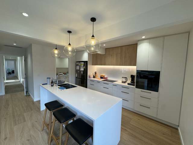 43 Wai-Iti Terrace Burnside_1