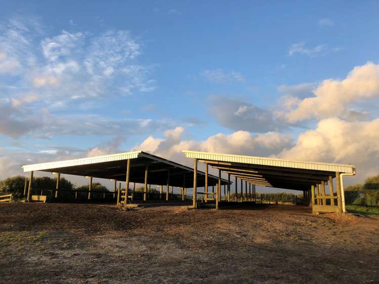 689 Mangatu Road Dargaville Surrounds_15