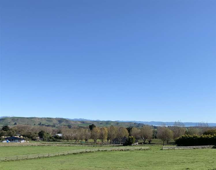 310b Porangahau Road Waipukurau_11