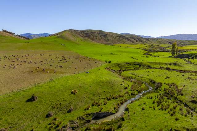 83 Richmond Brook Road Seddon_3