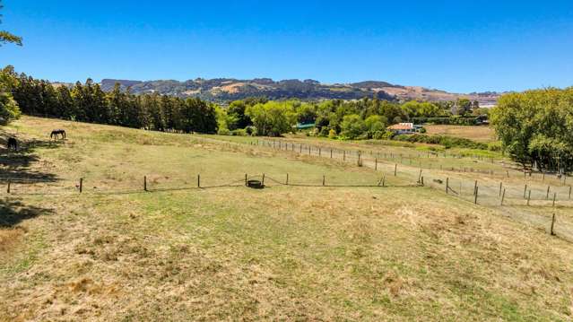 253 Fitzgerald Road Drury_3