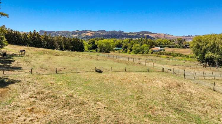 253 Fitzgerald Road_3