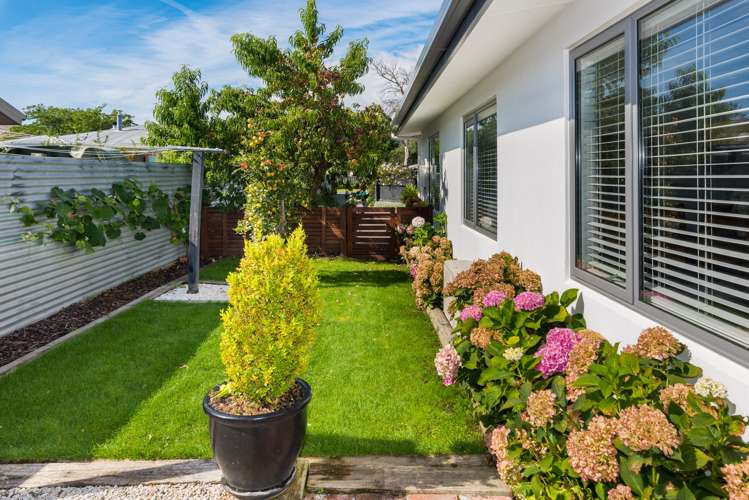 3b North Street Redwoodtown_13