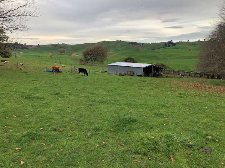 728 Lake Arapuni Road Arapuni_20