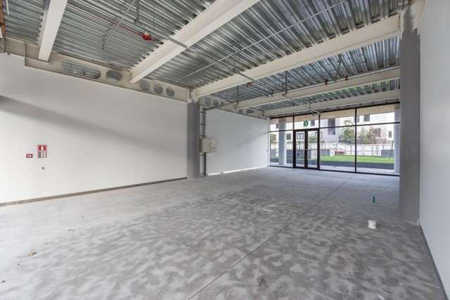 293 Durham Street City Centre_3