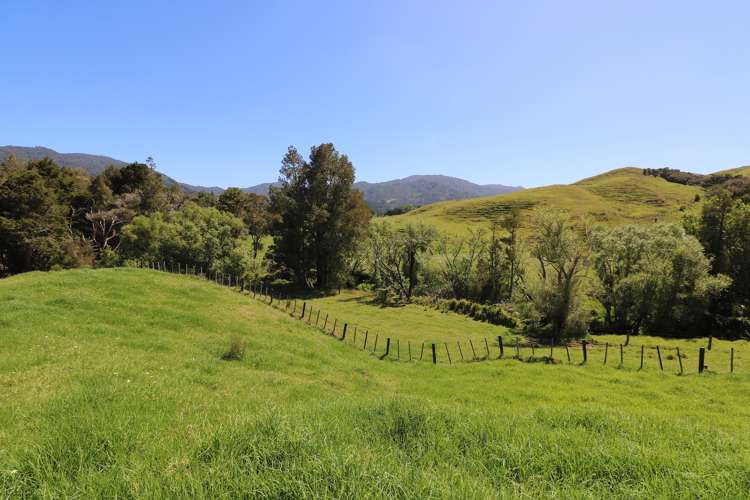 1282 Broadwood Road Broadwood_16