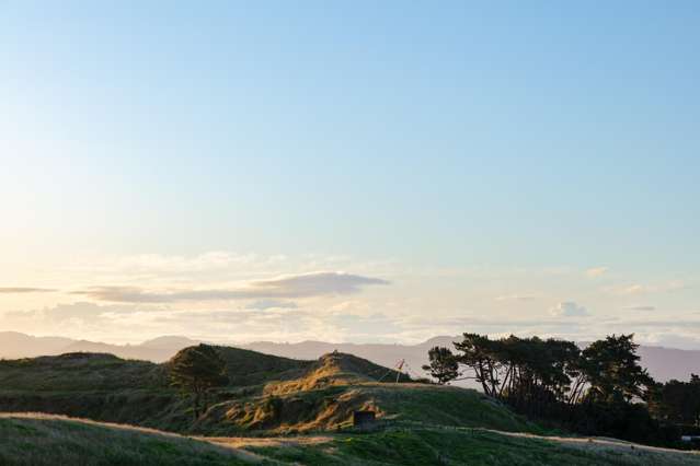 Lot 3/611 Wainui Road Wainui_2