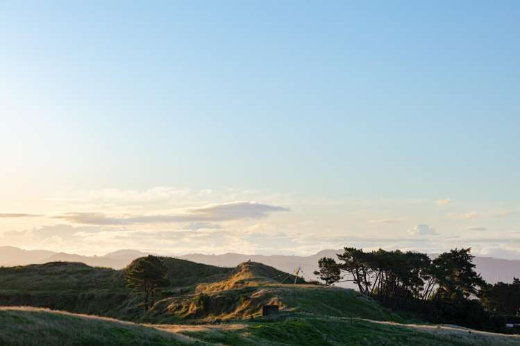 Lot 3/611 Wainui Road Wainui_2