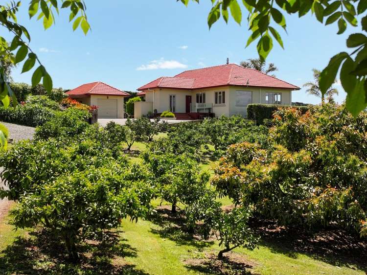 11B Stokes Road Katikati_20