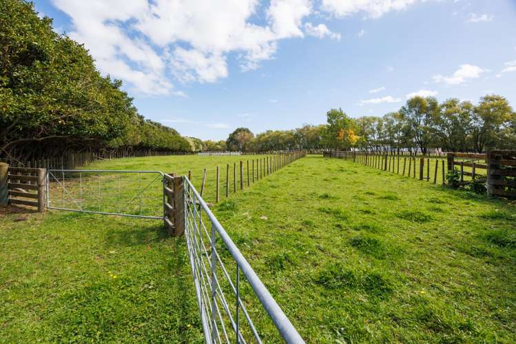 846 Colyton Road Bunnythorpe_29