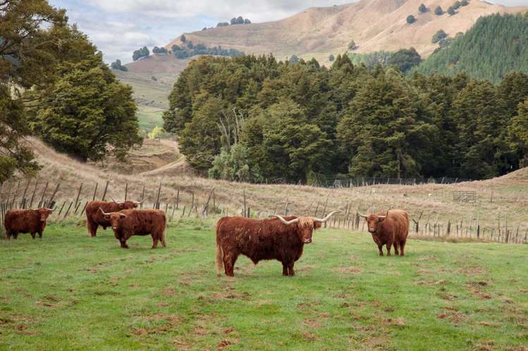 19 Body Road Manunui_7