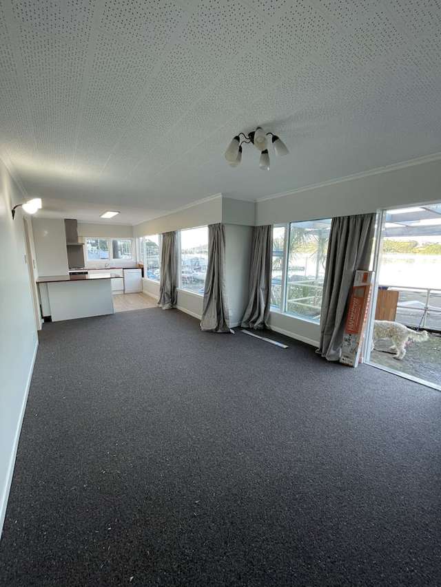 462A Evans Bay Parade Hataitai_4