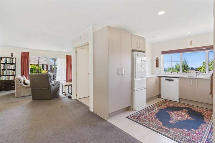 193 Chelsea View Drive Chatswood_14