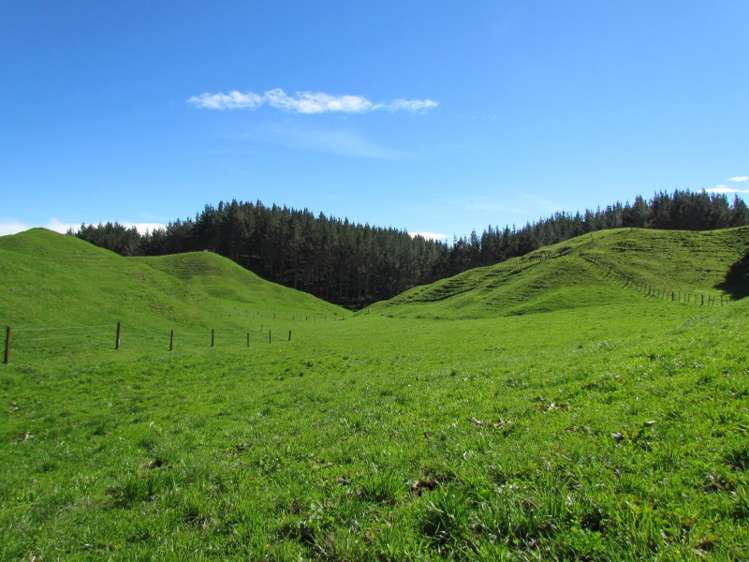 1840 Manawahe Road Manawahe_2