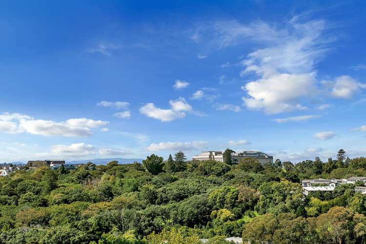 903/37 Symonds Street Grafton_12