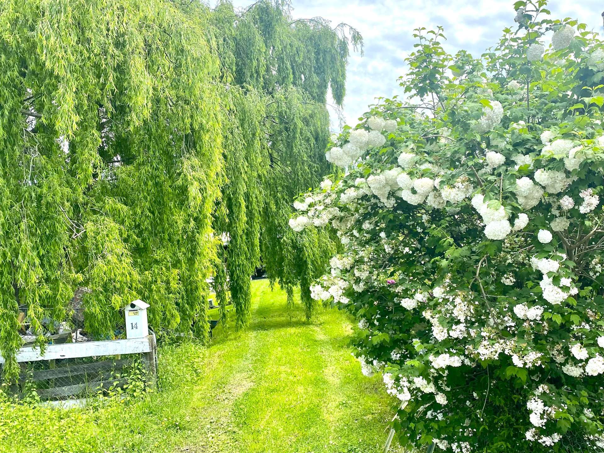 14 Eagle Street Waipawa_0