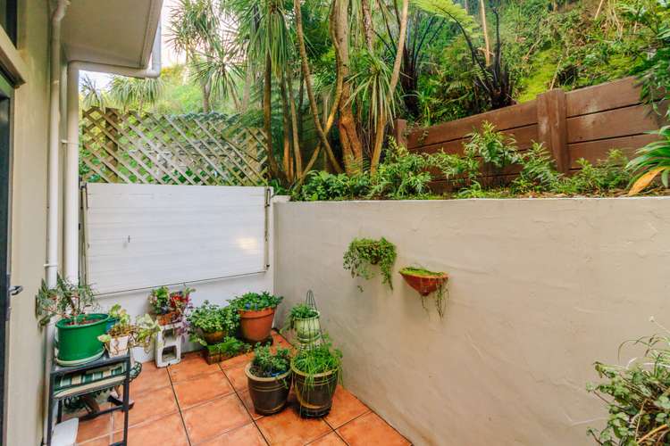 8/358 The Terrace Te Aro_15