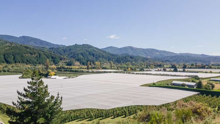 20 Wharua Tiro Place Motueka_2