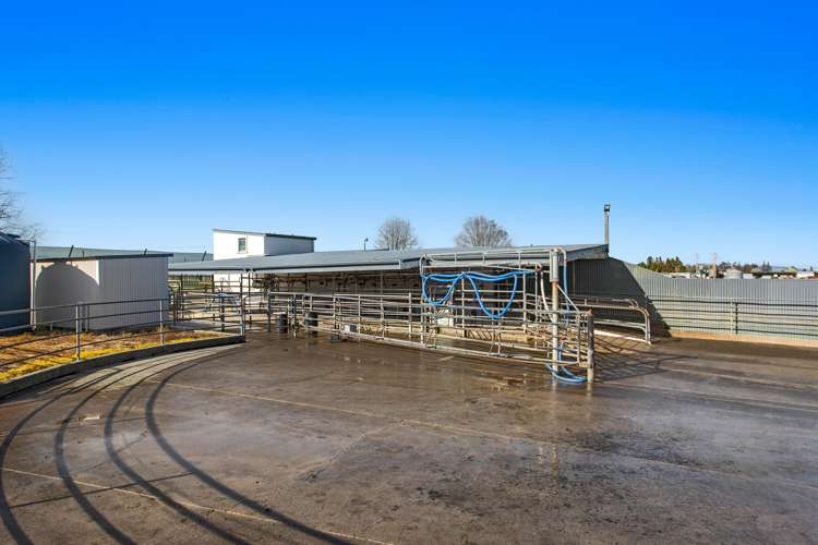 504 West Bank Road Edgecumbe Whakatāne Rural Property For Sale