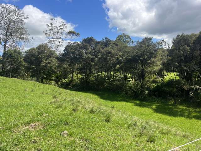 Lot 2 Takahue Road Takahue_3