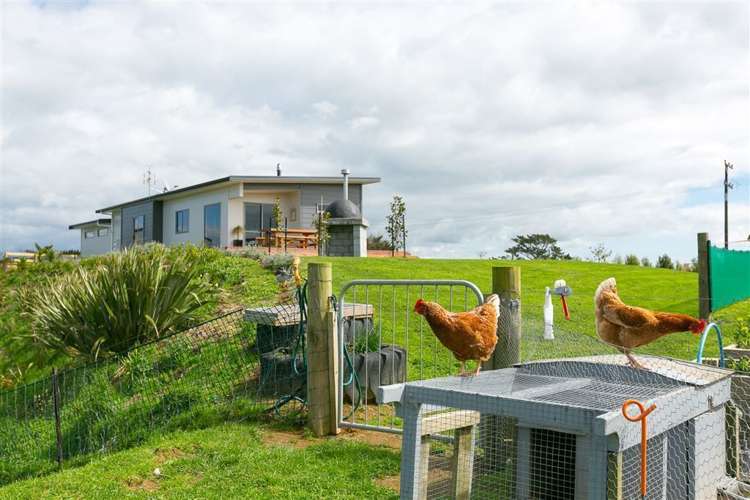 281 Upland Road Tarurutangi_42