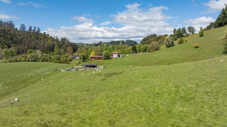 98 Thorpe-Orinoco Road Ngatimoti_6