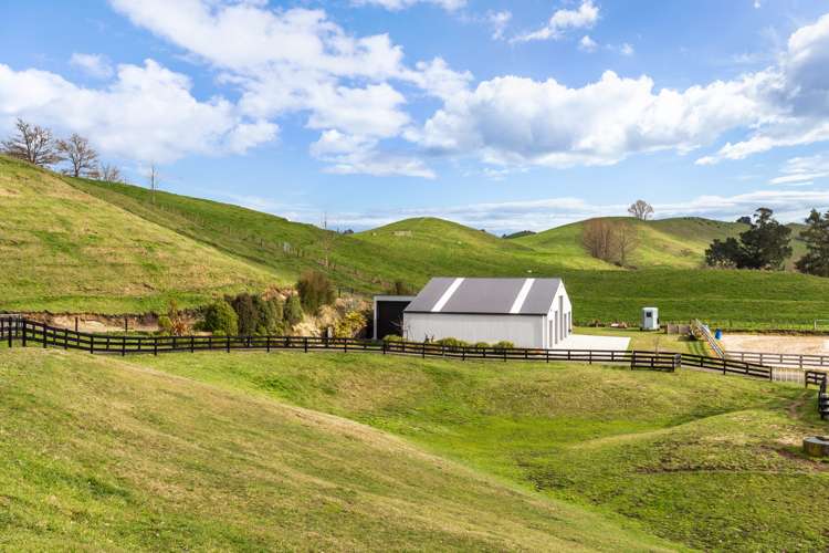 175 Link Road Wairakei and Surrounds_24