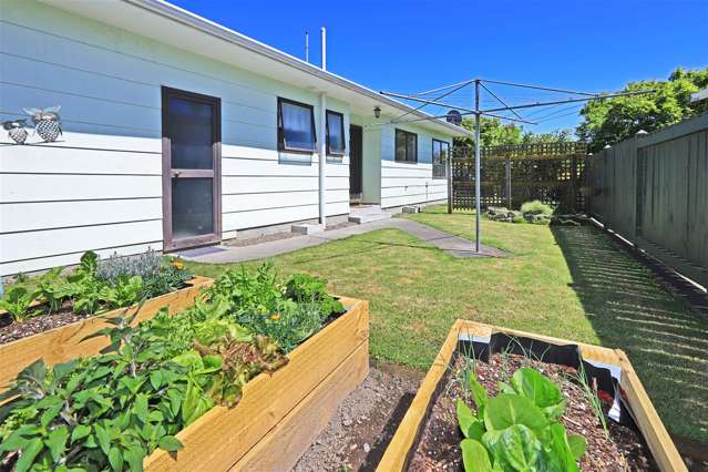 26 Usherwood Crescent Akina_3