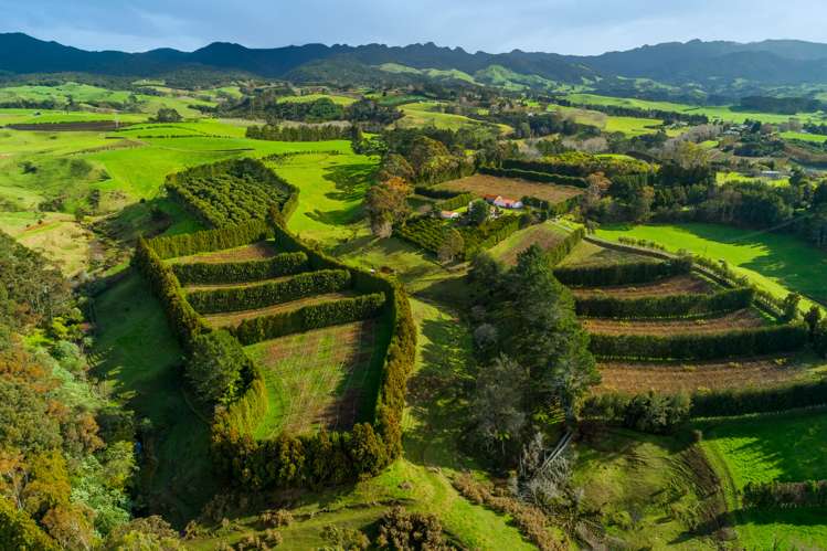 156a Lockington Road Aongatete_1