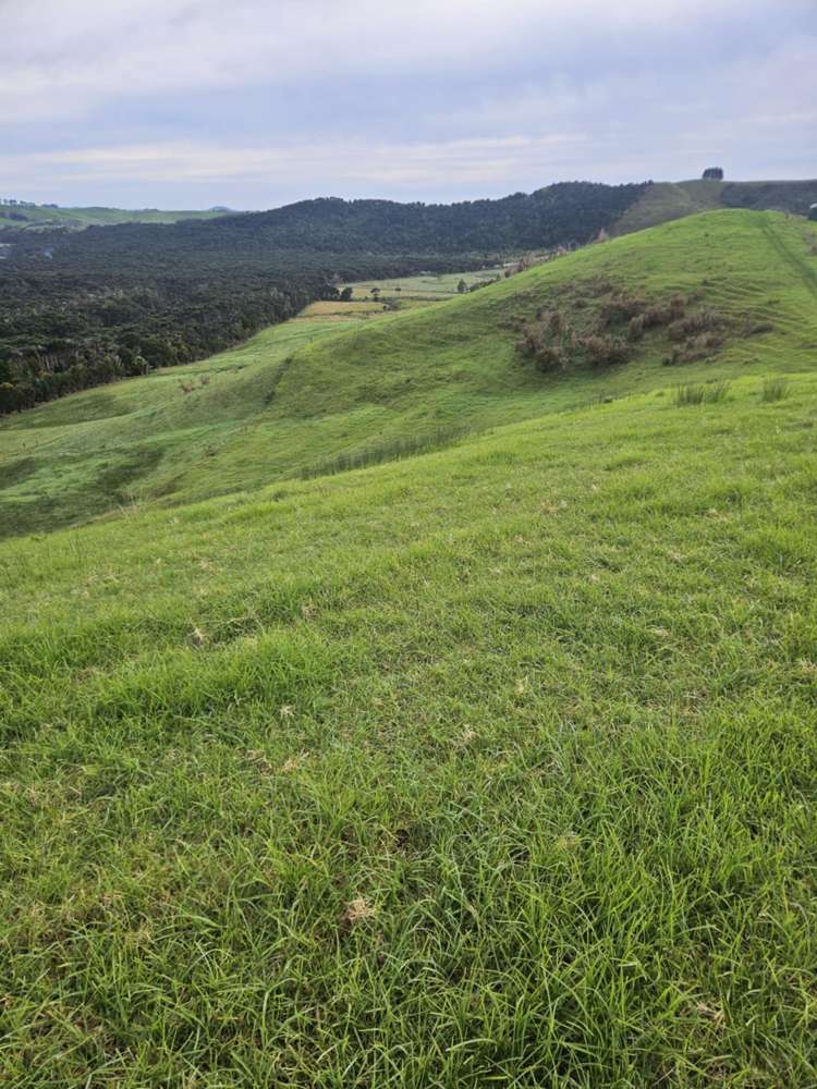 Lot 1/36 Te Moho Road Taipa_18