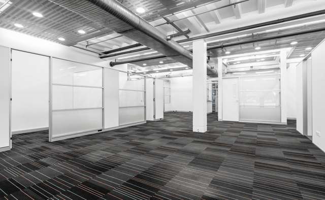 72 Dominion Road Mt Eden_3