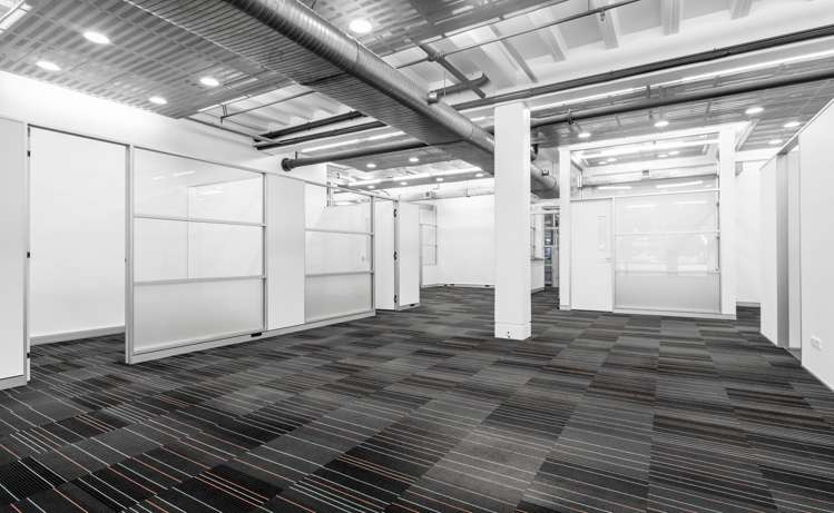 72 Dominion Road Mt Eden_3