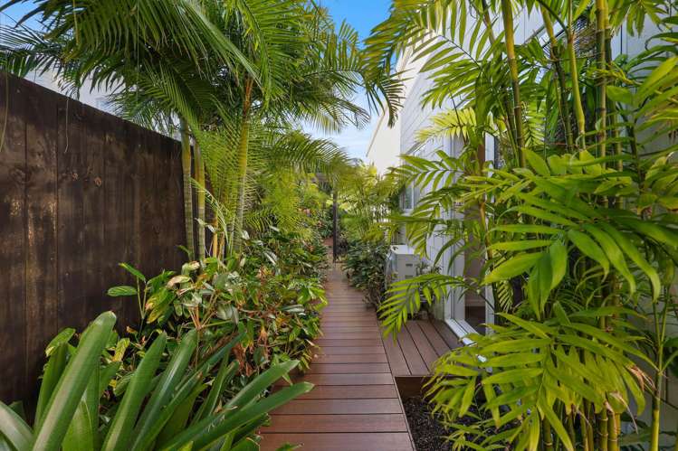 8 Ponga Street Hobsonville_17