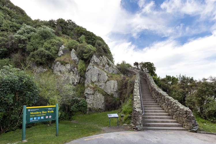 3 Titoki Street Rarangi_18