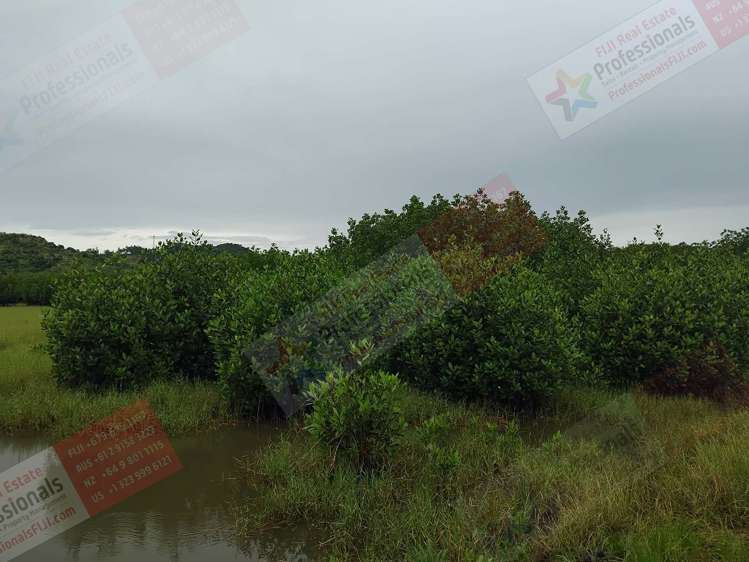 Address withheld Labasa_11