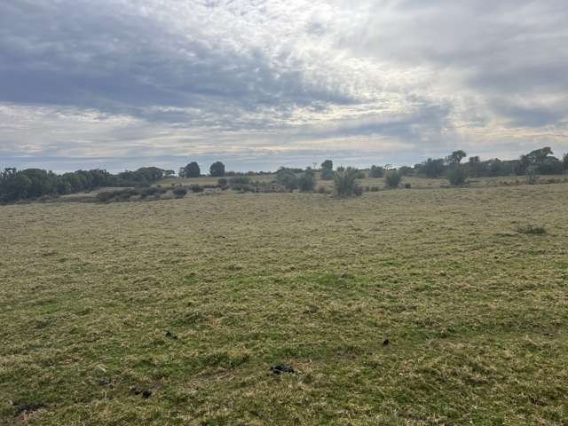 1299 Kumara Junction Highway Awatuna_1