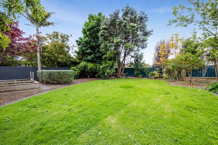 3a Waimea Street Westown_7