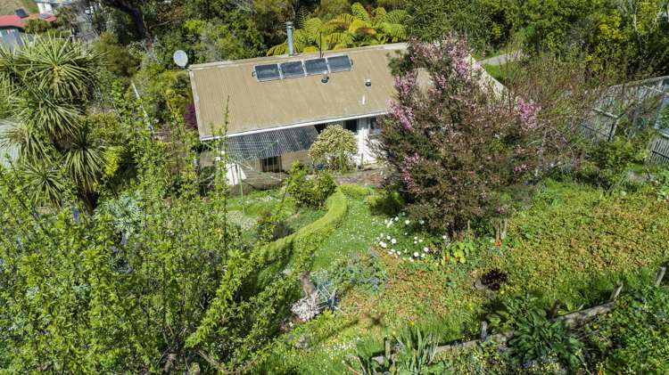 31 Toi Toi Street Toi Toi_13