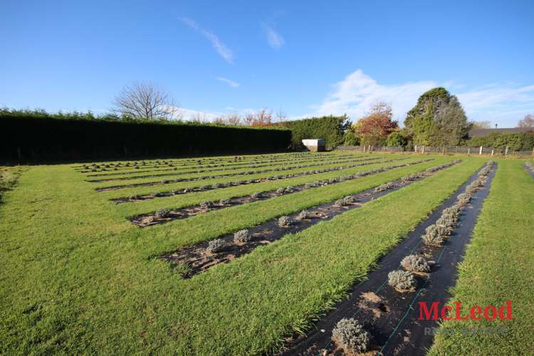 73 Northpark Road Newland_24