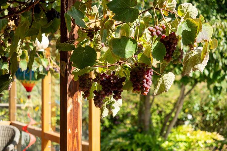 374 Speargrass Flat Road Speargrass Flat_24