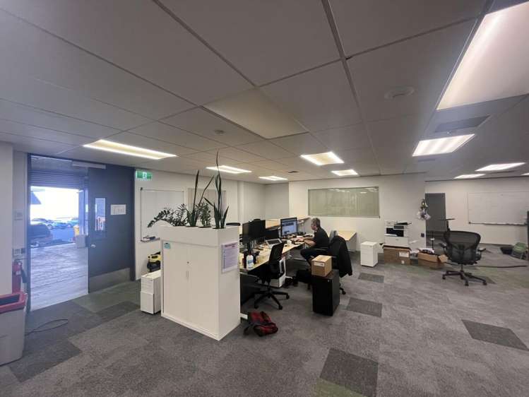 5 Wilkins Street Freemans Bay_5