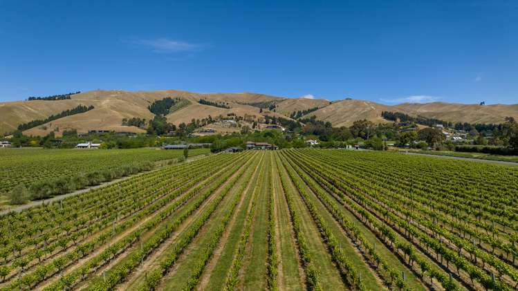 83 Dry Hills Lane Riverlands_29