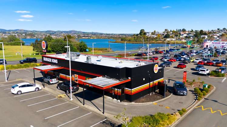 255 Fraser Street Tauranga South_0