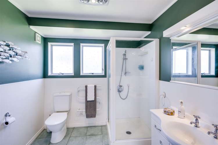 1 Norfolk Street Tamatea_17