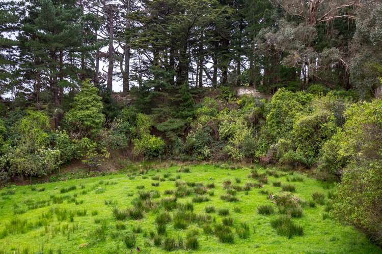 174 Opaki Kaiparoro Road Eketahuna_16