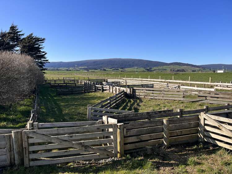 95 Frentz Road Pahia_29