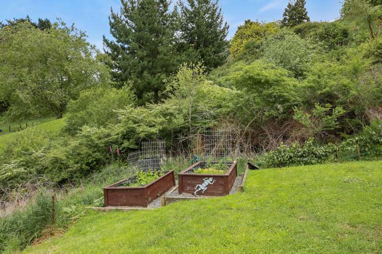 363 Limeworks Loop Road Te Pahu_11