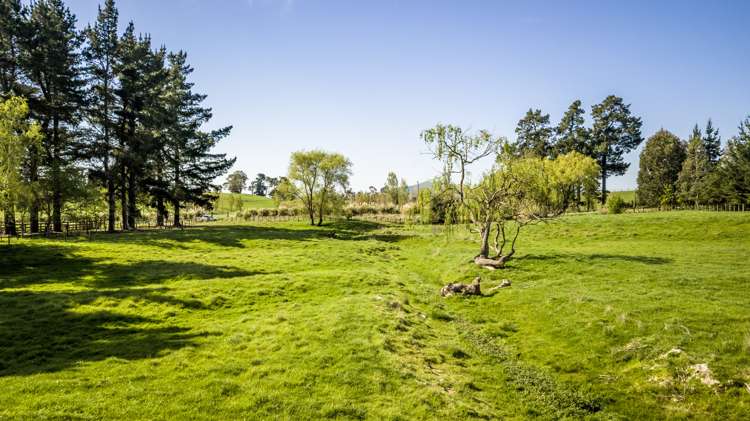 86 Tod Road Otane_17